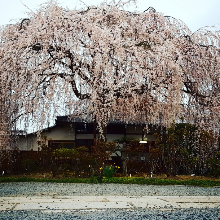 IMG_20170407_134320_918[1]