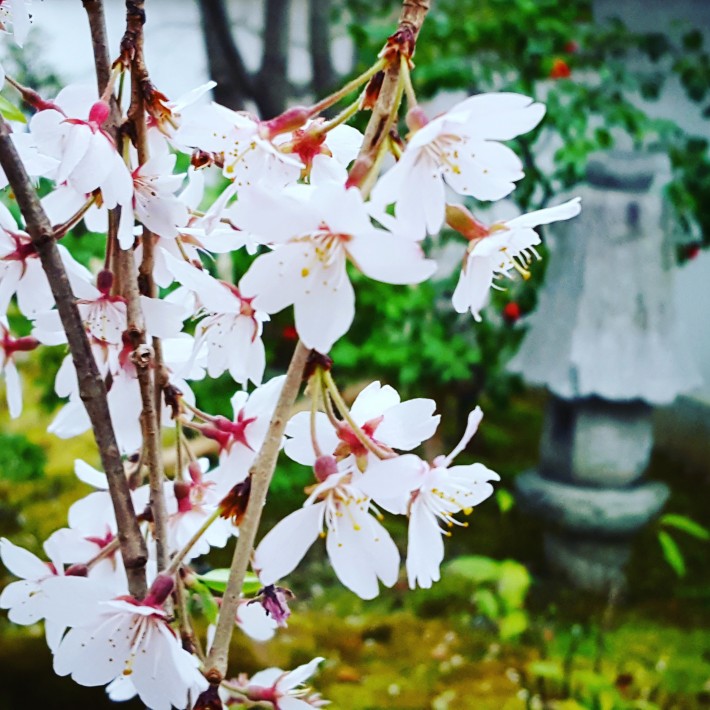 IMG_20170407_134833_990[1]