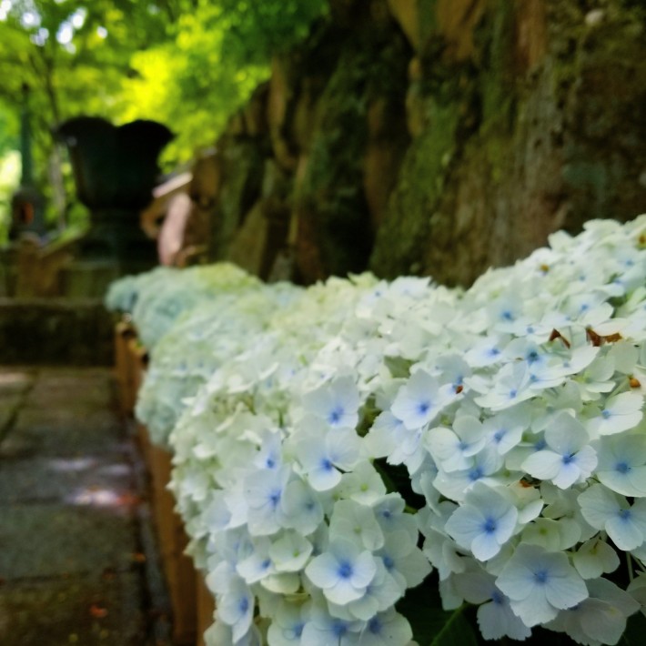 IMG_20180620_210949_494